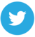 twitter-icon